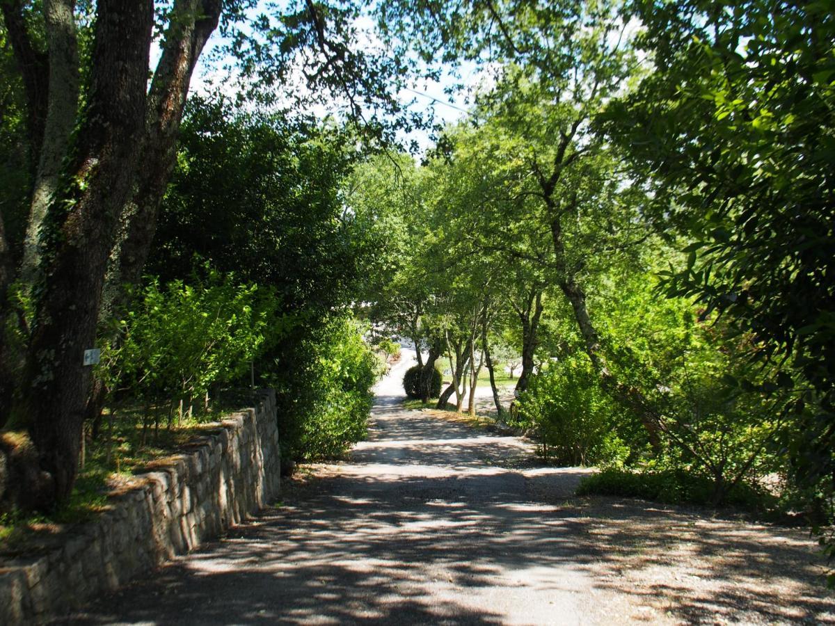 Camping Mas Du Sartre Saint Alban Auriolles Ngoại thất bức ảnh