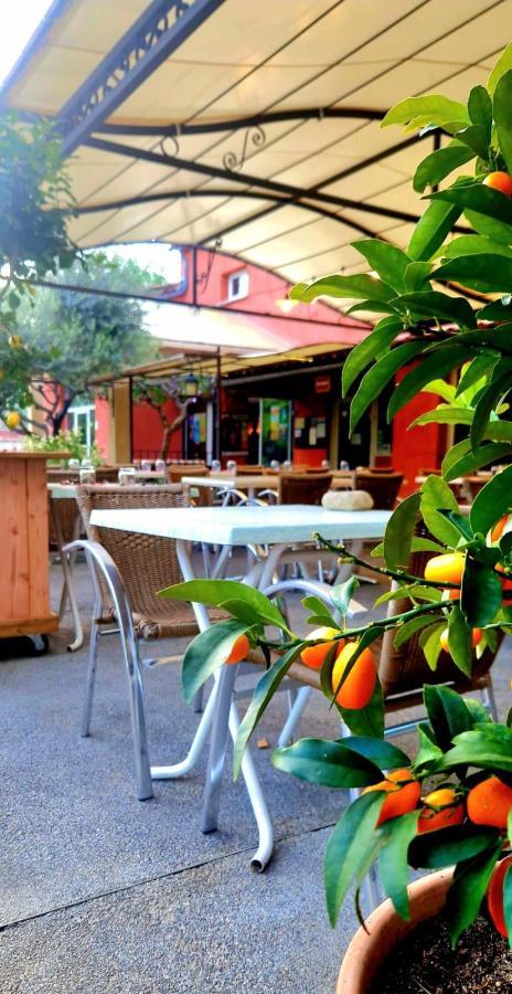 Camping Mas Du Sartre Saint Alban Auriolles Ngoại thất bức ảnh